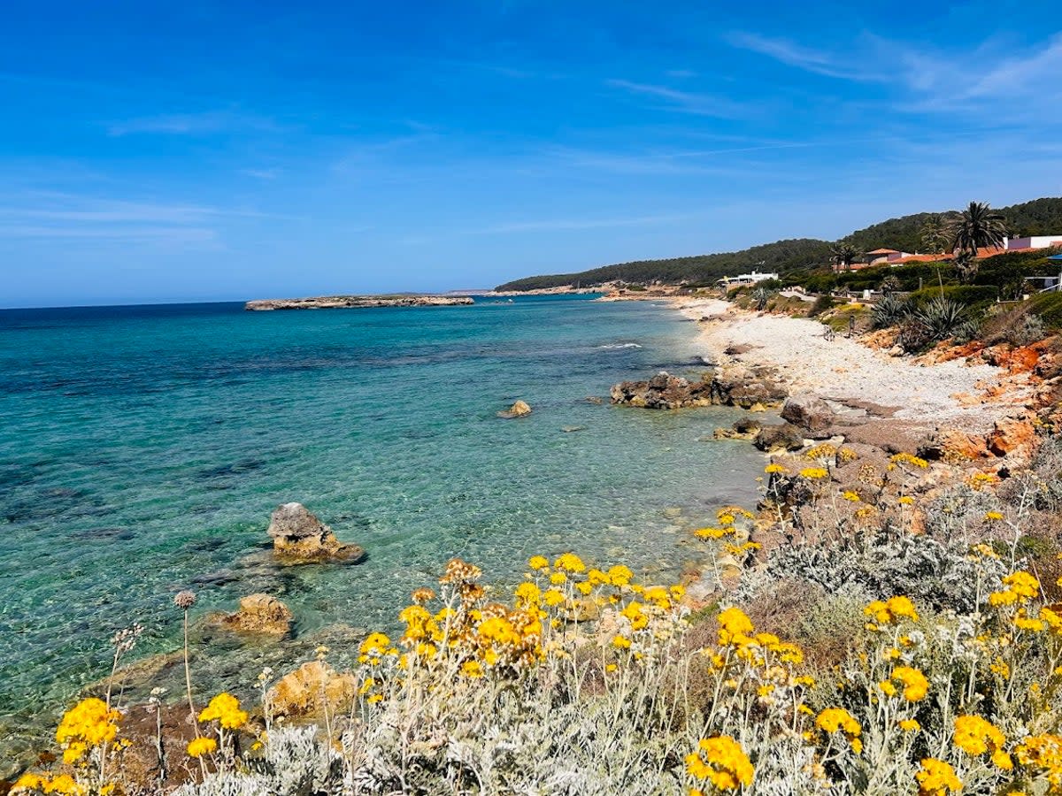 Santo Tomas beach (Lucy Tobin)