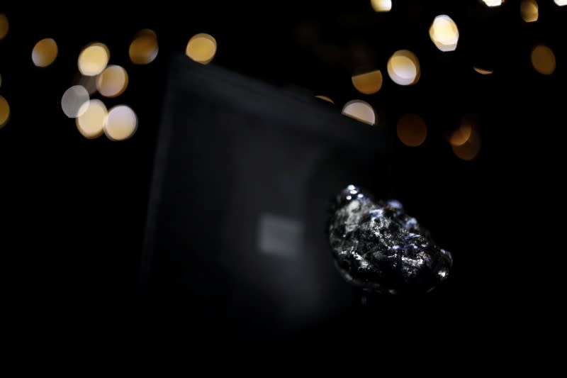 A recently purchased "Sewelo diamond" is displayed during a press preview at the Louis Vuitton store in Paris