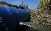 Sugarcane farmer Sam Simmons, left, and Sonia Lambert, General Manager of Cameron County Irrigation District #2, right, visit a site on his property being irrigated, Wednesday, Sept. 15, 2021, in San Benito, Texas. Earlier this year, before rain soaked the Rio Grande Valley in May and June, several sugarcane farmers in Irrigation District #2 were told they could only be provided one delivery of water — far less than what the thirsty crop requires.(AP Photo/Eric Gay)