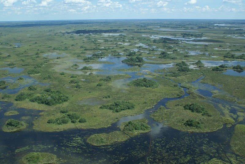 okavango delta botswana