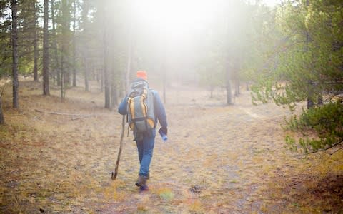 A hiker in Yellowstone National Park - Credit: getty