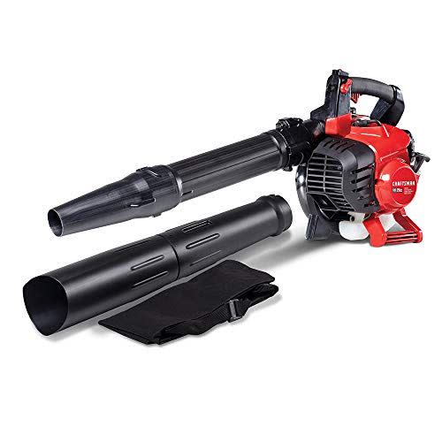 <p> BV245 Gasoline Blower with Vacuum Kit </p><p>amazon.com</p><p>$169.99</p><p><a href="https://www.amazon.com/dp/B07NRCFH8H?tag=syn-yahoo-20&ascsubtag=%5Bartid%7C10055.a.28368915%5Bsrc%7Cyahoo-us" rel="nofollow noopener" target="_blank" data-ylk="slk:Shop Now;elm:context_link;itc:0;sec:content-canvas" class="link ">Shop Now</a></p><span class="copyright">Craftsman </span>