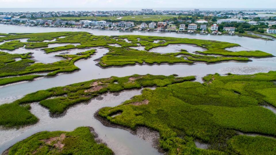 A drone photograph shows salt marsh in relation to development in Wrightsville Beach, Wednesday, Aug 18, 2021. Salt marshes in North Carolina are being pushed back by rising sea waters, but aren’t always able to retreat due to coastal development, leaving them to shrink.