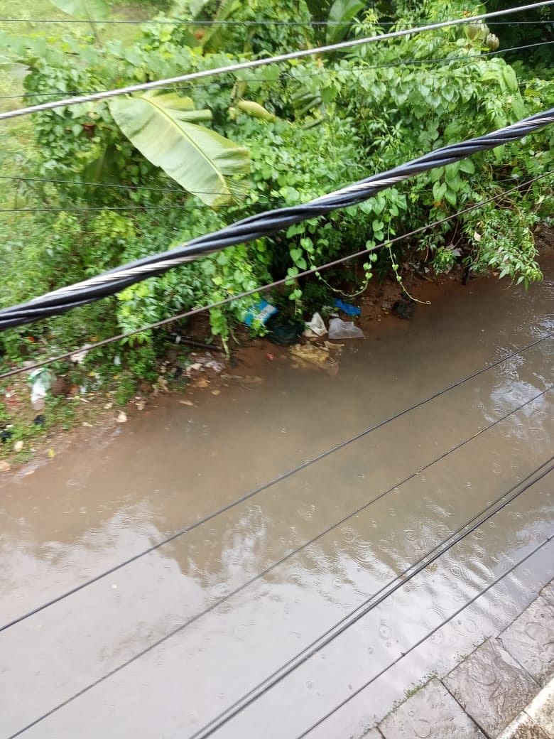 <div class="paragraphs"><p>Waterlogged roads in Cuttack.</p></div>