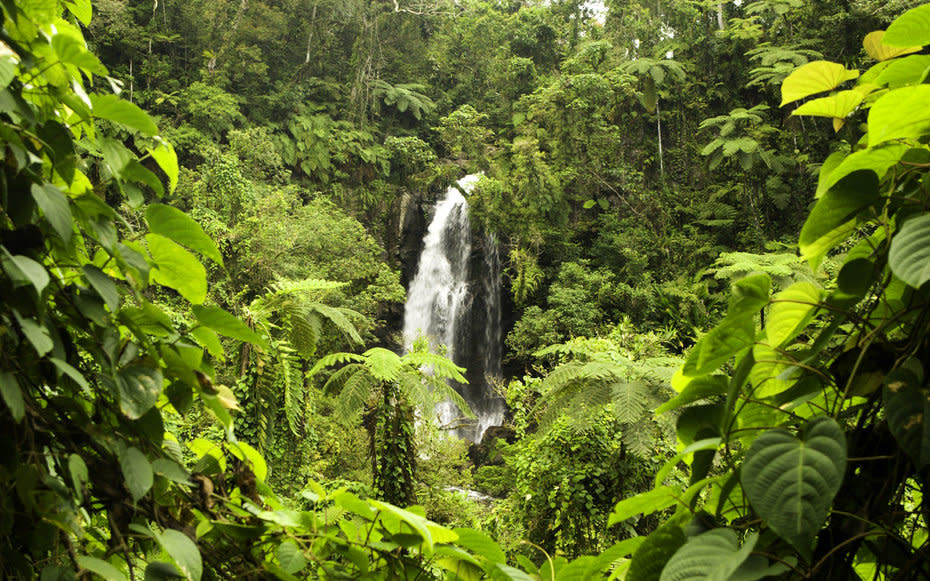 Tavoro Waterfalls, Fiji