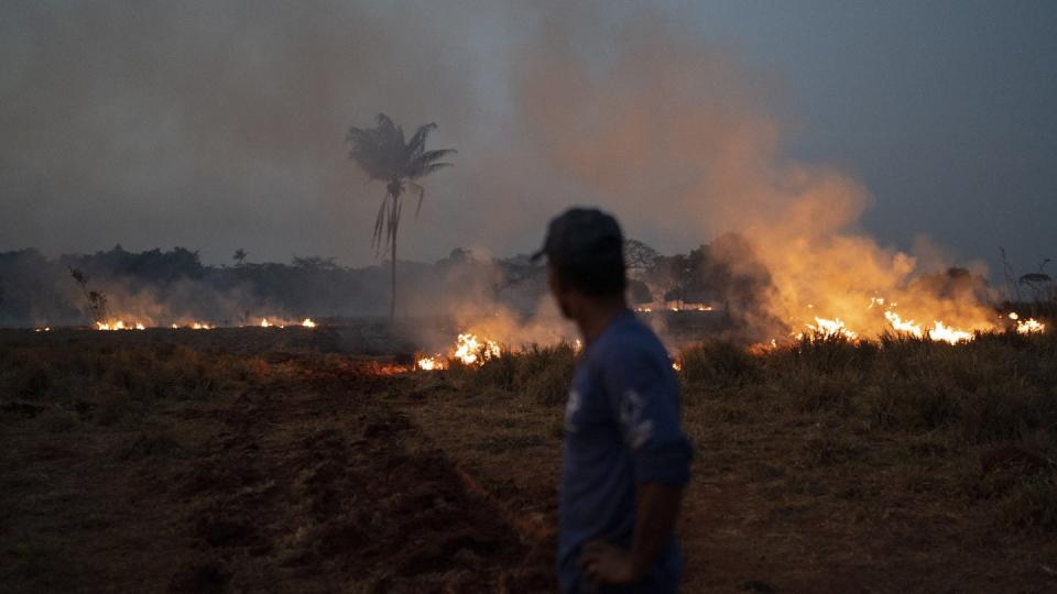 In Brasilien wüten derzeit die schwersten Waldbrände seit Jahren. Foto: Leo Correa/AP