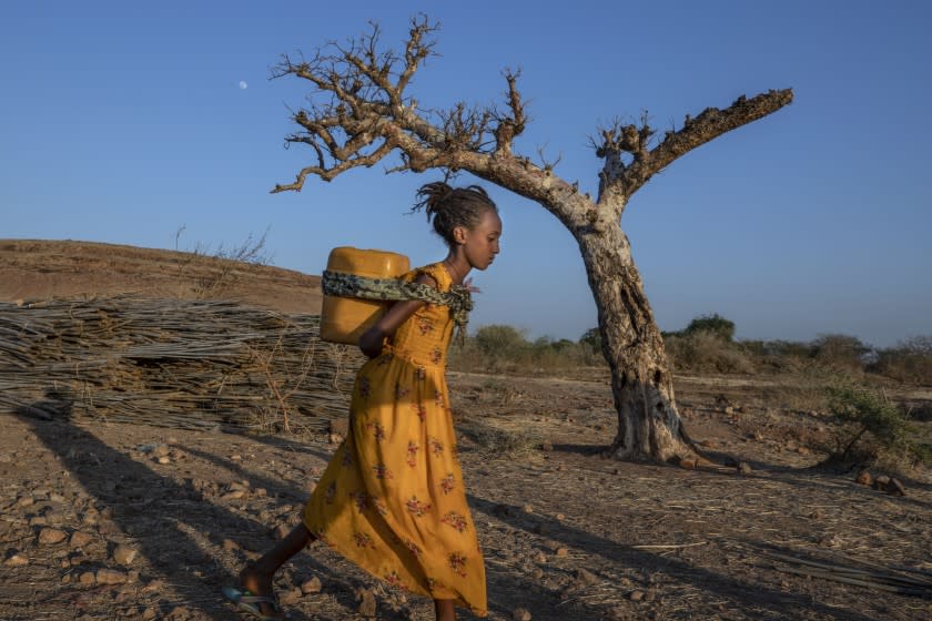 A Tigray woman who fled the conflict in Ethiopia's Tigray region, carries water on her back, at Umm Rakouba refugee camp in Qadarif, eastern Sudan, Friday, Nov. 27, 2020. Ethiopian Prime Minister Abiy Ahmed again ruled out dialogue with the leaders of the defiant Tigray region Friday but said he was willing to speak to representatives "operating legally" there during a meeting with three African Union special envoys trying to end the deadly conflict between federal troops and the region's forces. (AP Photo/Nariman El-Mofty)