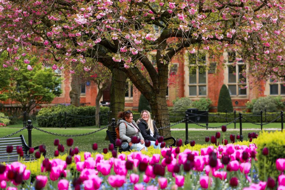 Denise Fuenzalida (left) and Amanda Foster sit by a cherry blossom tree at Queen's University Belfast during spring weather. Picture date: Monday April 22, 2024. (Photo by Liam McBurney/PA Images via Getty Images)