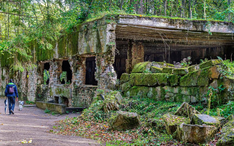 Wolf's Lair is a complex of bunkers and ruins which once served as a forest headquarters for Hitler's inner circle