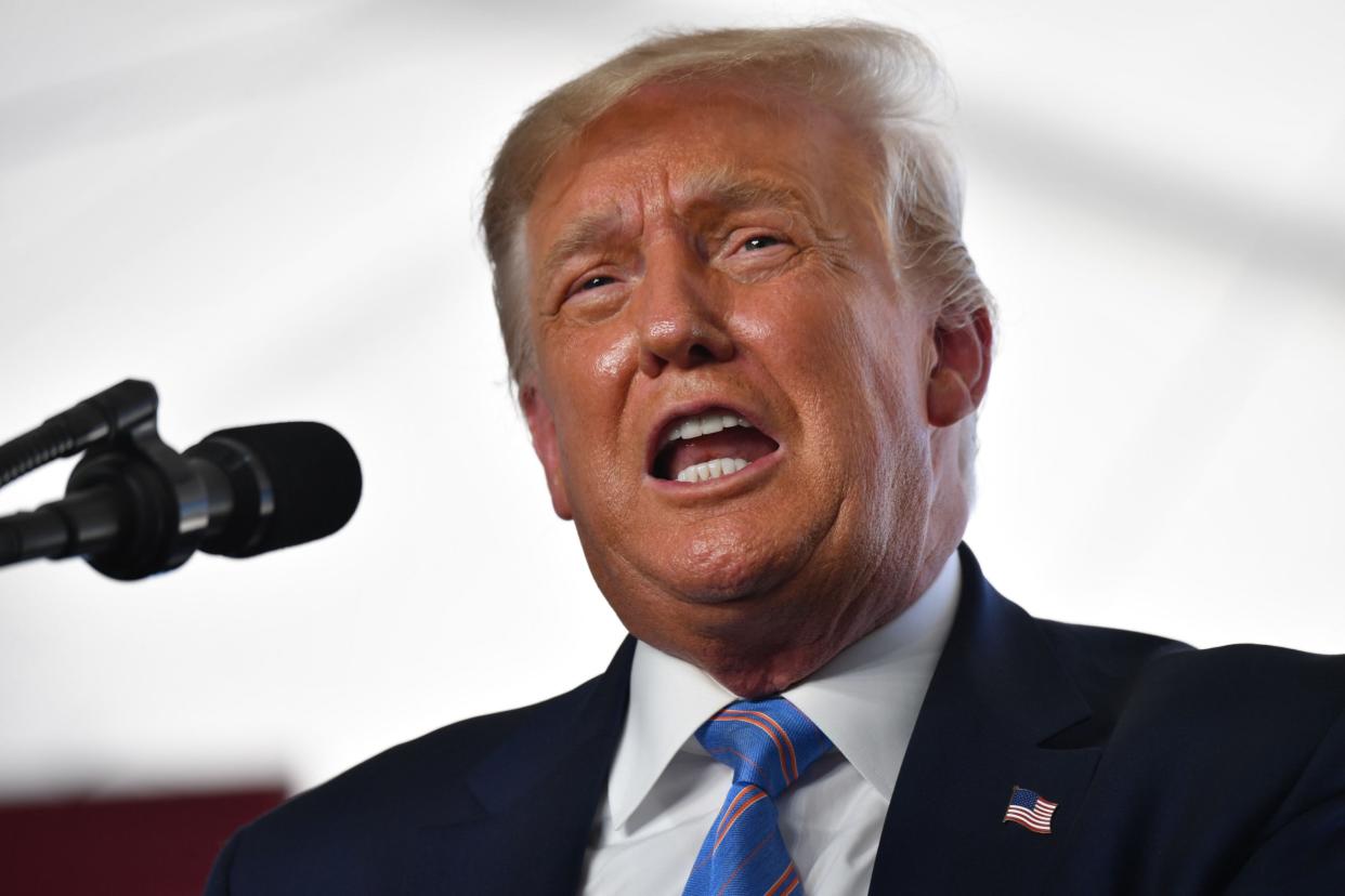 Donald Trump in full flow during a speech in Texas: AFP via Getty Images