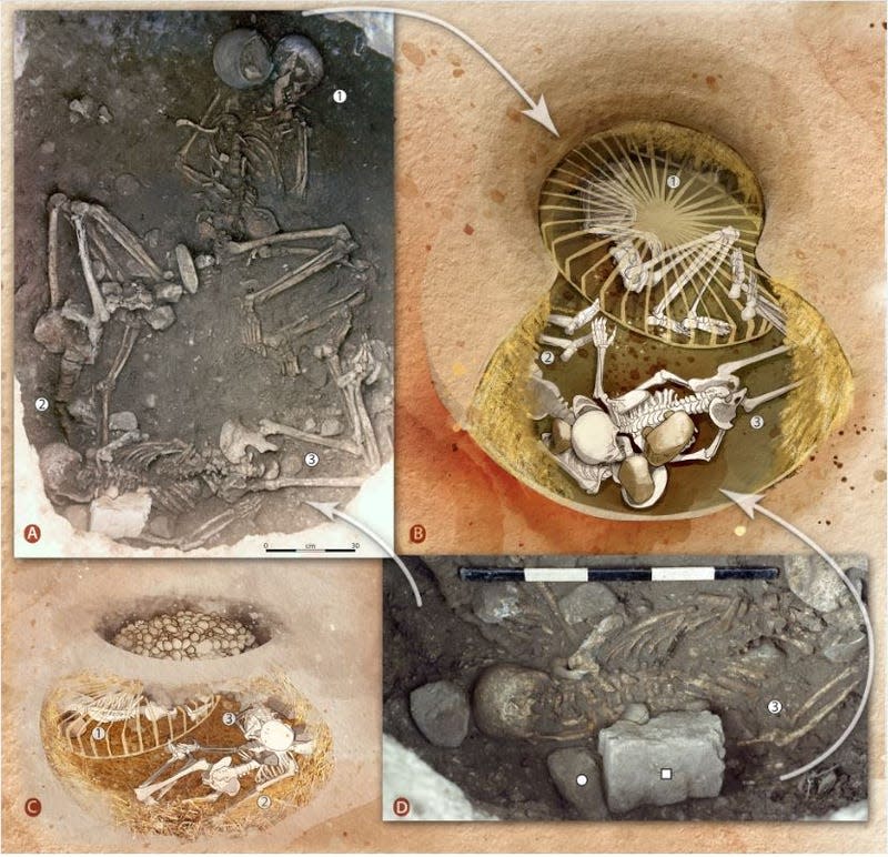 Clockwise from top-left: a view of three skeletons on the site, a reconstruction of the remains, a view of the bottom individual with a stone on top of the remains, a grindstone fragment covering the head of the rightmost individual. - Graphic: <a class="link " href="https://www.eurekalert.org/multimedia/1022114" rel="nofollow noopener" target="_blank" data-ylk="slk:Ludes et al., Sci. Adv. 10, eadl3374 (2024);elm:context_link;itc:0;sec:content-canvas">Ludes et al., Sci. Adv. 10, eadl3374 (2024)</a>