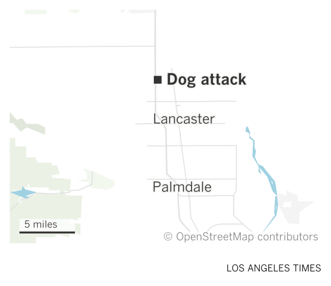 A map of the Antelope Valley shows where a dog attack happened in Lancaster