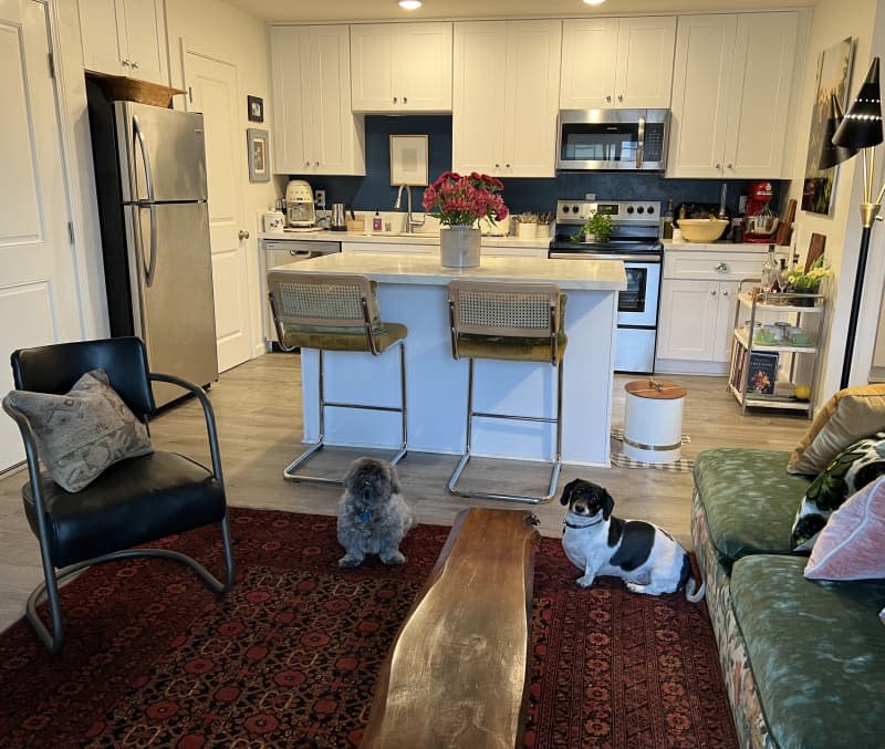 View from living room into white kitchen with white cabinets. 2 dogs looking at camera