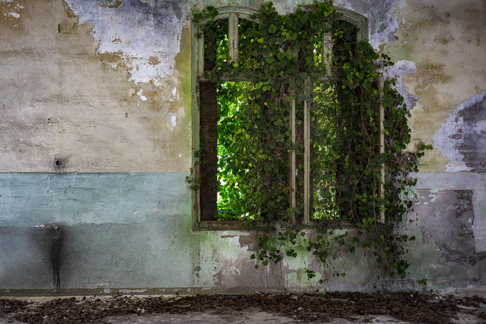 Photographer travels across Europe to document beautiful overgrown sites