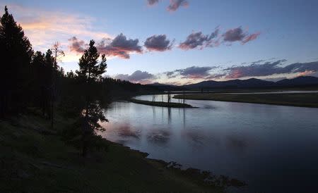The Yellowstone River winds through the Hayden Valley in Yellowstone National Park, Wyoming, June 9, 2013. YREUTERS/Jim Urquhart/File photo