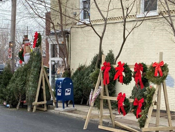 Christmas trees in Nyack photographed March 17, 2023 by local resident Christine Cordey. The trees are set up for a Melissa McCarthy movie being filmed along South Broadway in Nyack March 20.