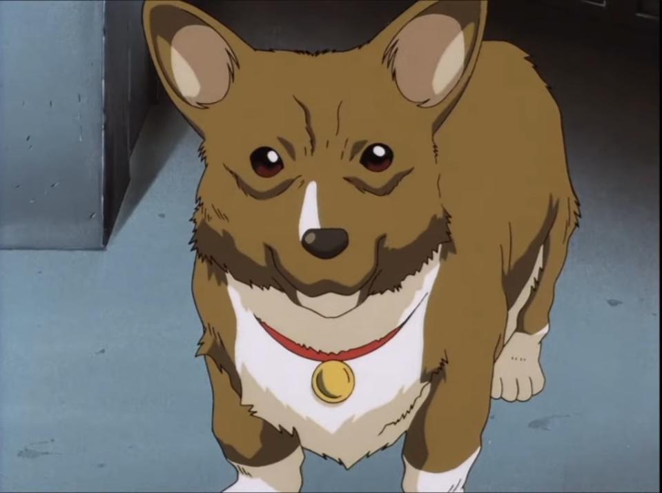 Ein is the top dog from the Cowboy Bepok anime series