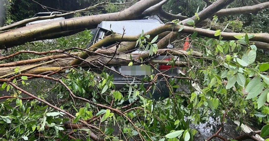 基隆市今日降下豪雨，有民眾開車行經事故路段時，車輛遭砸毀。（圖／翻攝畫面）