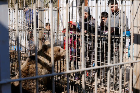 Children look at a bear at Nour Park in Mosul's zoo, Iraq, February 2, 2017. REUTERS/Muhammad Hamed