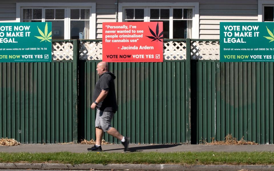 The cannabis vote could yet go either way - AP