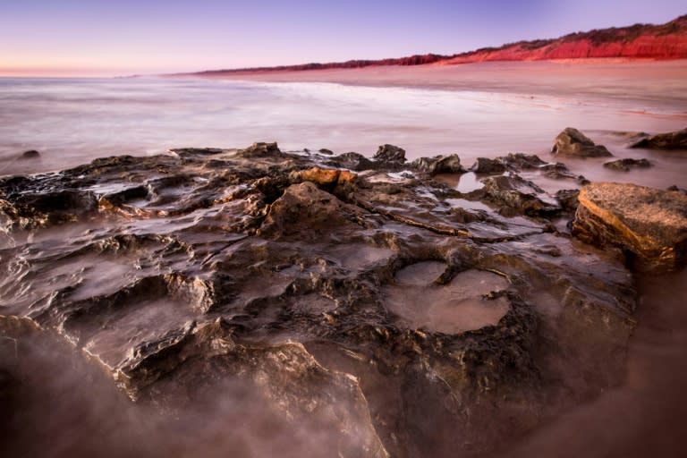 Palaeontologists say dinosaur tracks found in ancient rocks in Westerm Australia are the most diverse such discovery in the world