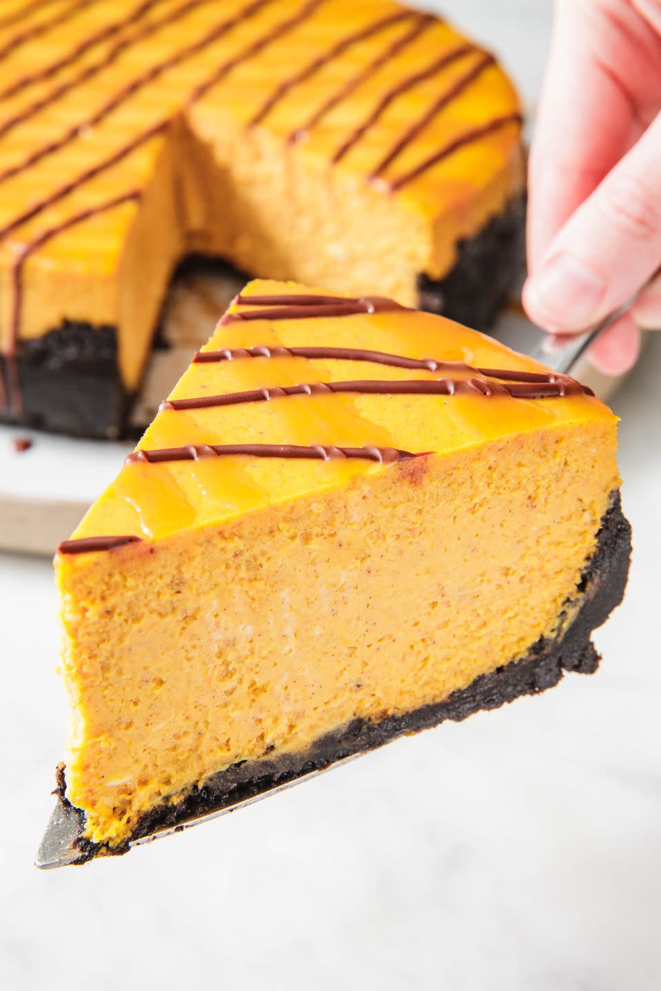 Chocolate Pumpkin Cheesecake