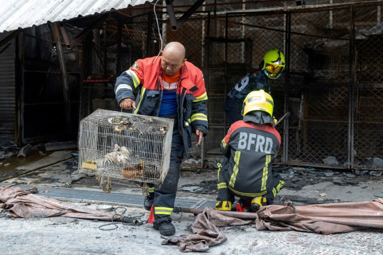 A firefighter carries injured chickens in a cage following a fire at a pet market next to Chatuchak market in Bangkok (Chanakarn Laosarakham)