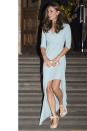 <p>Glowing in Jenny Packham at the Wildlife Photographer of The Year 2014 Awards Ceremony at The Natural History Museum in London</p>