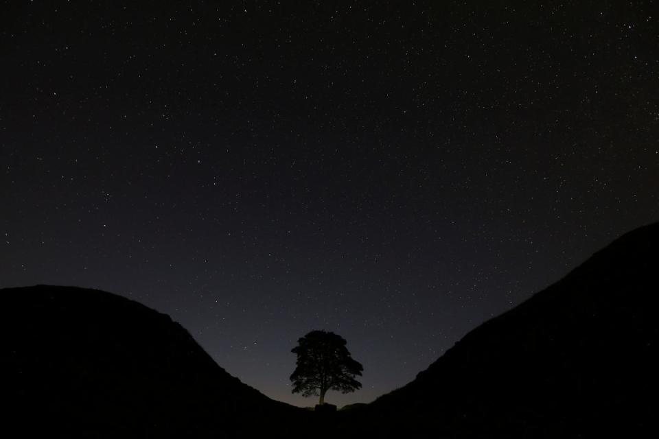 Un cielo estrellado sobre Sycamore Gap, antes de las perseidas sobre el Muro de Adriano, cerca de Bardon Mill, Inglaterra, en agosto de 2015. (© 2023 The Associated Press. Todos los derechos reservados)