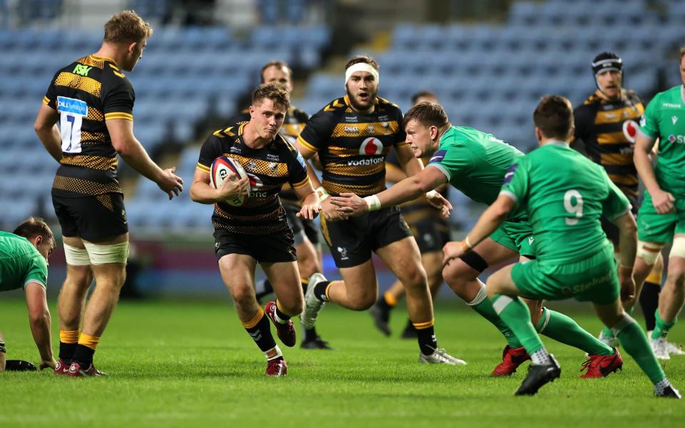 Wasps rugby