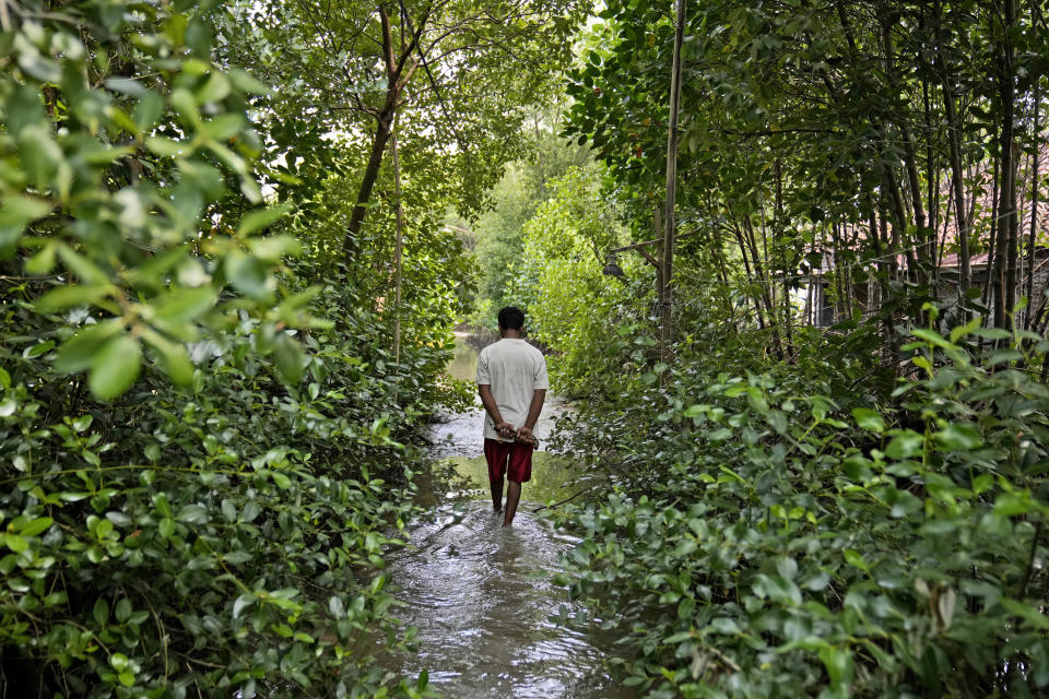 Aslori camina por un sendero inundado en Mondoliko (Java, Indonesia) el 5 de septiembre del 2022. Aslori y su familia tuvieron que irse de su casa, que había quedado inhabitable por las inundaciones. (AP Photo/Dita Alangkara)