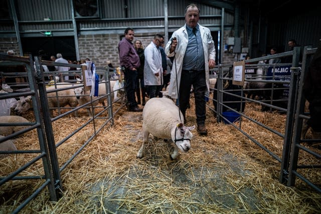 The Cornish Winter Fair