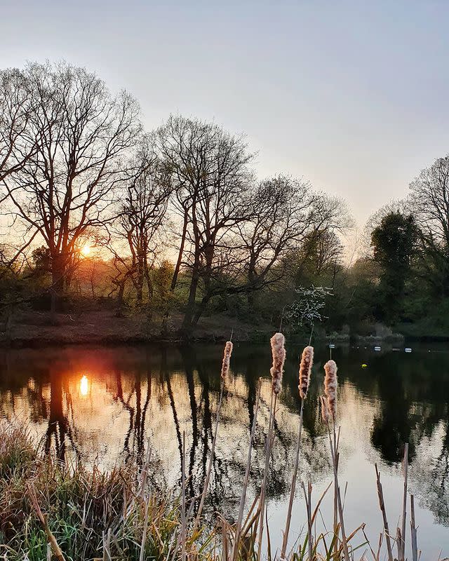 Hampstead Heath Swimming Ponds