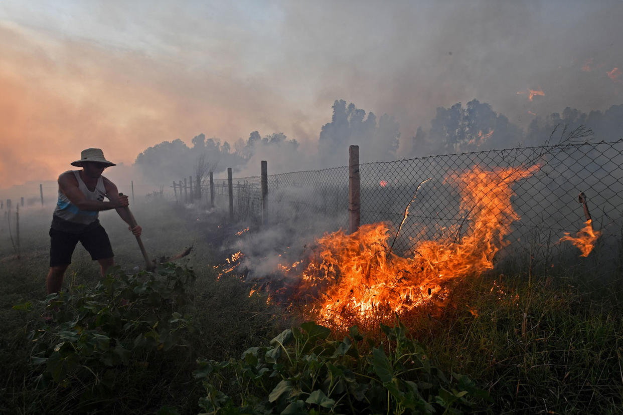 Heatwave Wildfire Tunisia FETHI BELAID/AFP via Getty Images