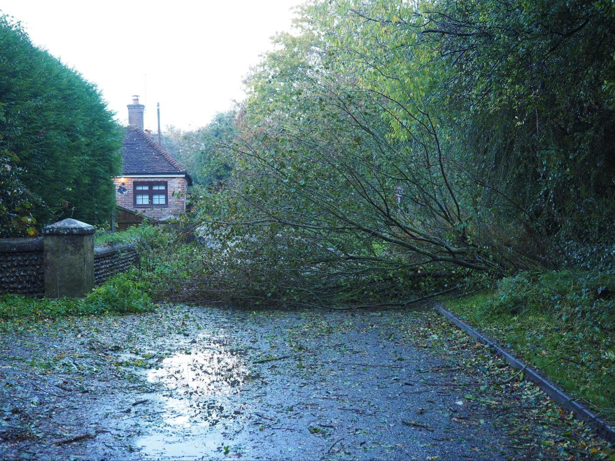 A fallen tree blocks a lane in Barnham, West Sussex (PA)