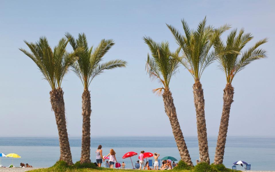 La Herradura,Granada Province, Costa Tropical, Spain. Beach and palm trees.