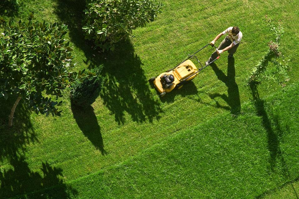 Man mowing lawn