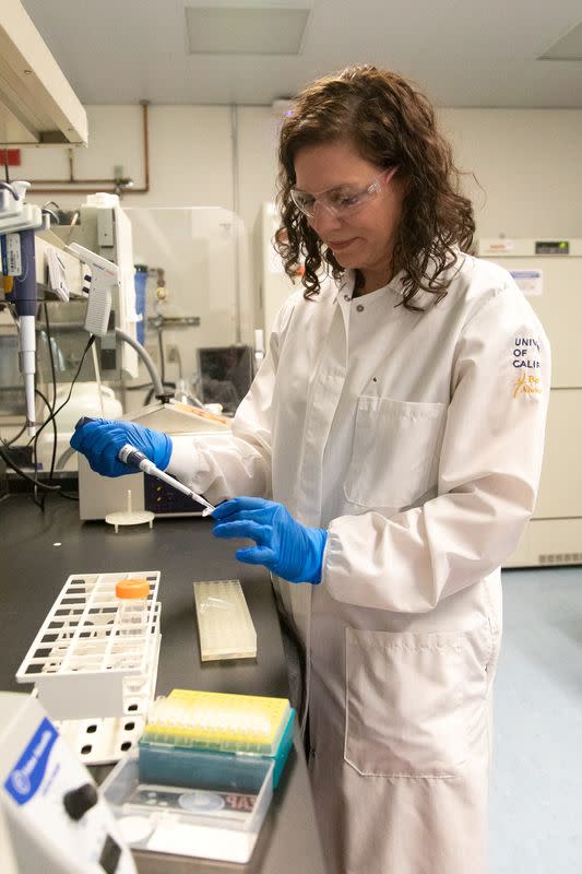 FILE PHOTO: Geneticist Karen Miga is seen at a laboratory at the University of California, in Santa Cruz