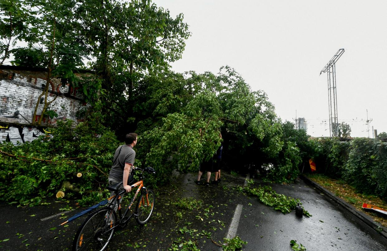 Local residents try to remove fallen trees from the road after a sudden storm in Zagreb (AFP via Getty Images)