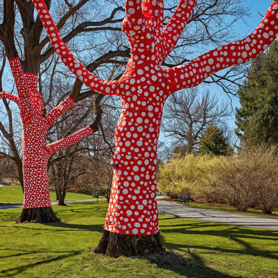 Ascension of Polka Dots on Trees, 2002/2021