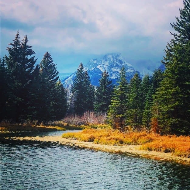 Tall pine trees surround a lightly ruffled body of water, while a snow-capped mountain peak stands in the background.