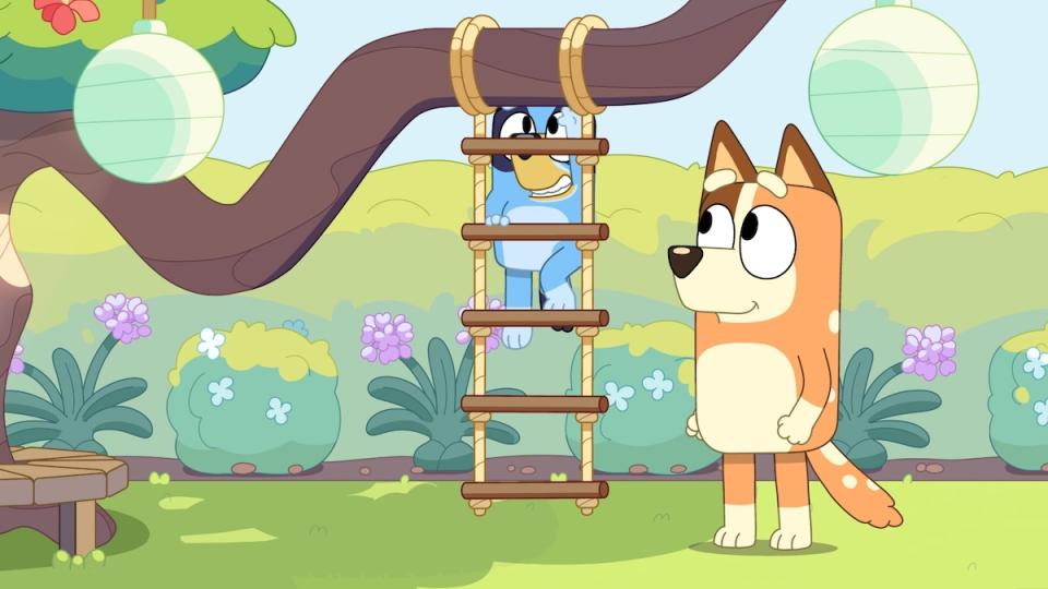 obstacle course bluey every episode ranked worst best