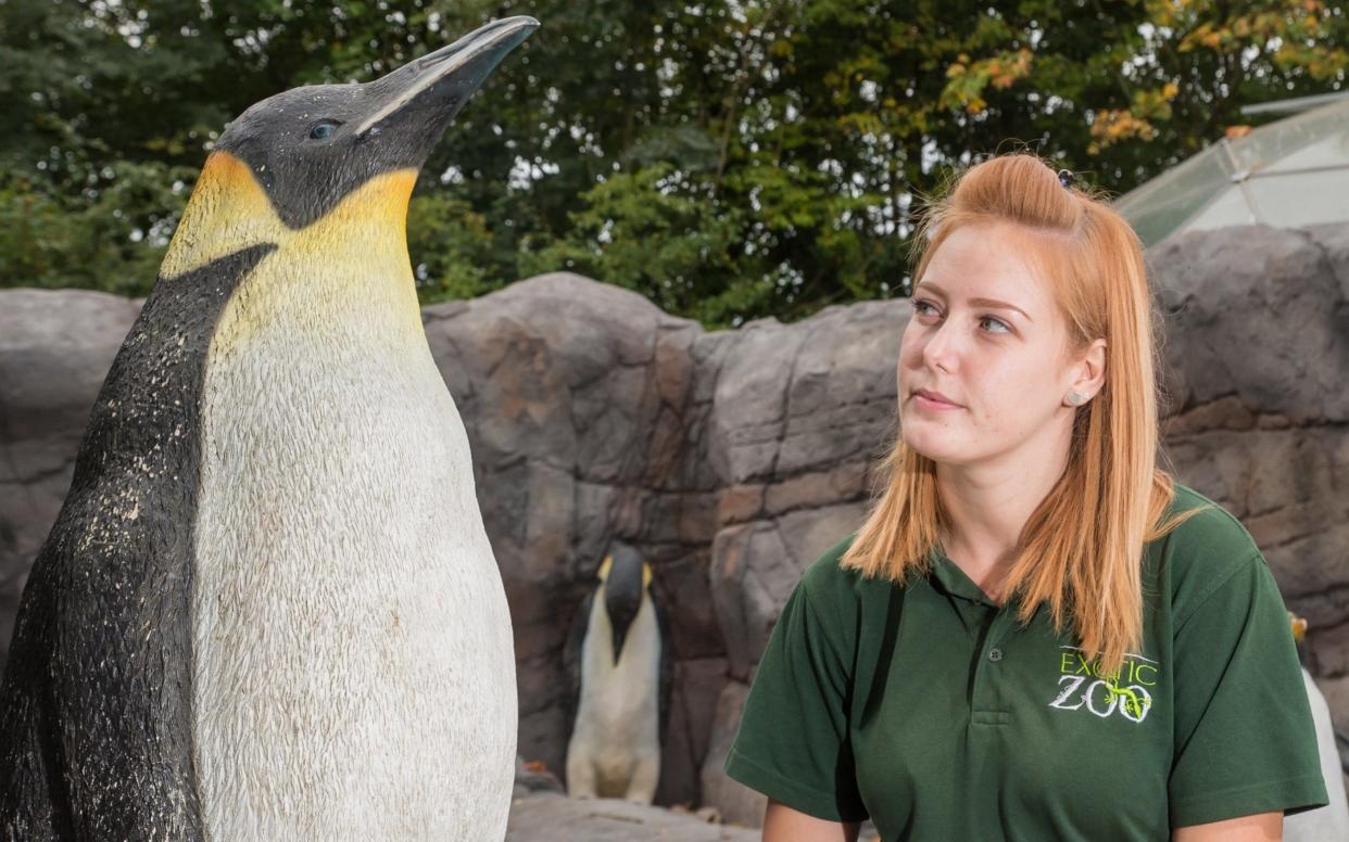 Emma Horton, 28, with a plastic penguin - SWNS.com