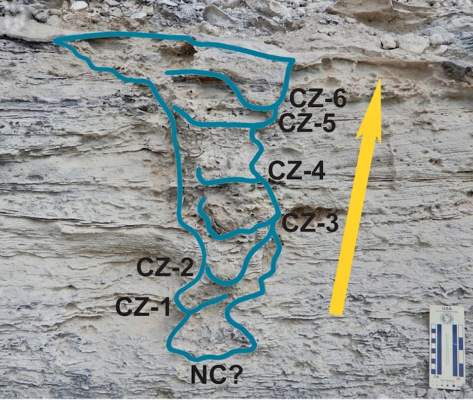 <div class="inline-image__caption"><p>The burrow deconstructed into its behavioral parts. NC? is a trace of the possible nest chamber, CZ (1-6) shows the compaction zones, where the mother iguana packed sand behind her on her way out, and the arrow shows her overall direction of movement while exiting.</p></div> <div class="inline-image__credit">Anthony J. Martin, CC BY-SA</div>