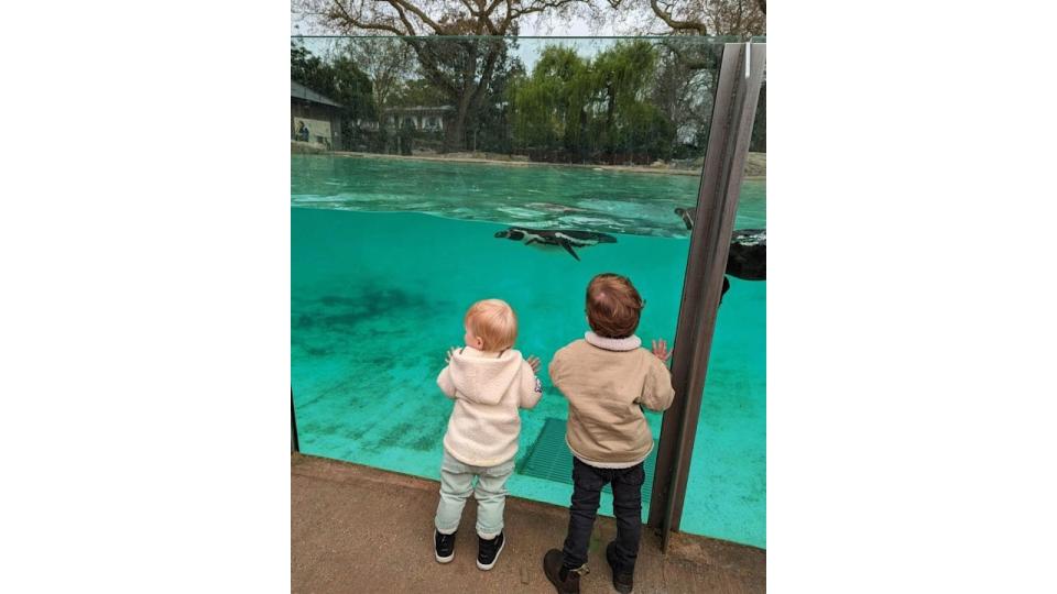 Sienna watching penguins with her cousin august 