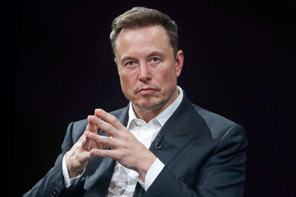 <p>Chesnot/Getty</p> Elon Musk