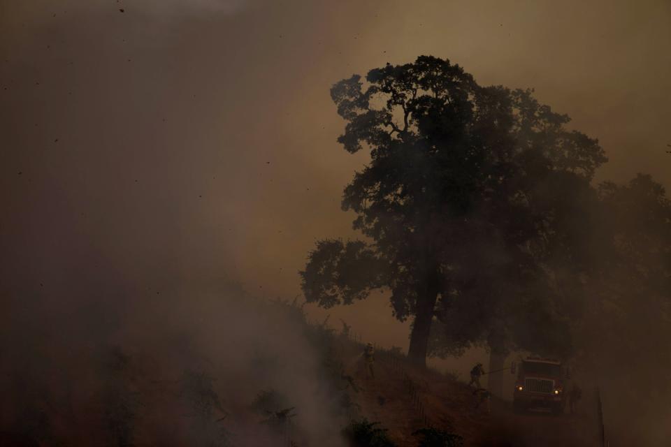 Firefighters battle a spot fire in a vineyard as the "Sand Fire" burns near Plymouth, California