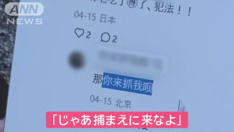 ▲即使網友指出非法捕撈犯法，中國「趕海者」仍理直氣壯，甚至直呼「來抓我啊」。（圖／翻攝自《ANN News》）