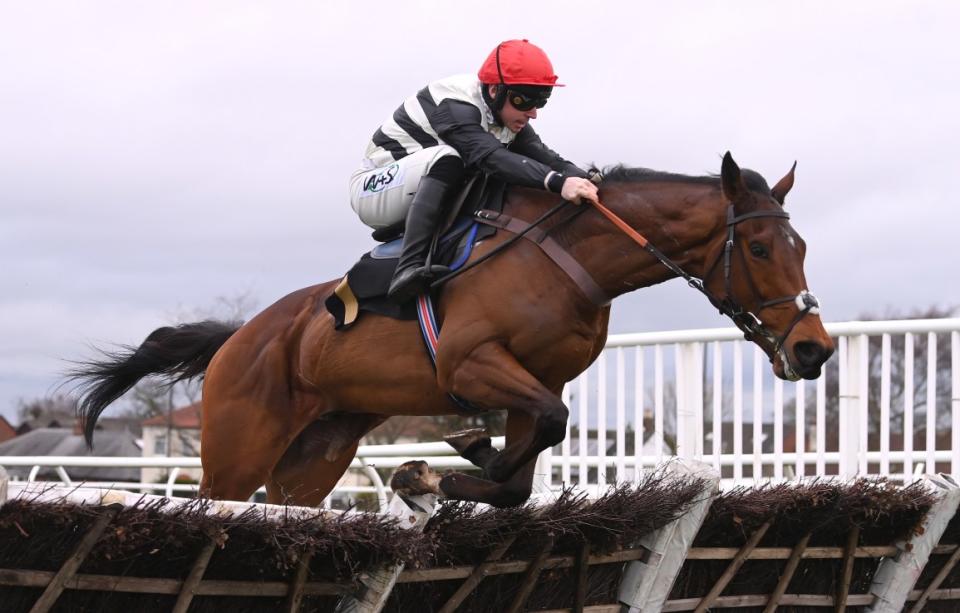 Harry Fry's Altobelli has placed in both of his two starts this season