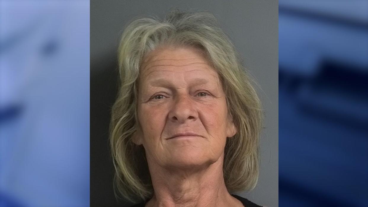 <div>Robin Parker was arrested and charged with identity theft on April 11, 2024. (Photo: Johnson County Sheriffs Office)</div>